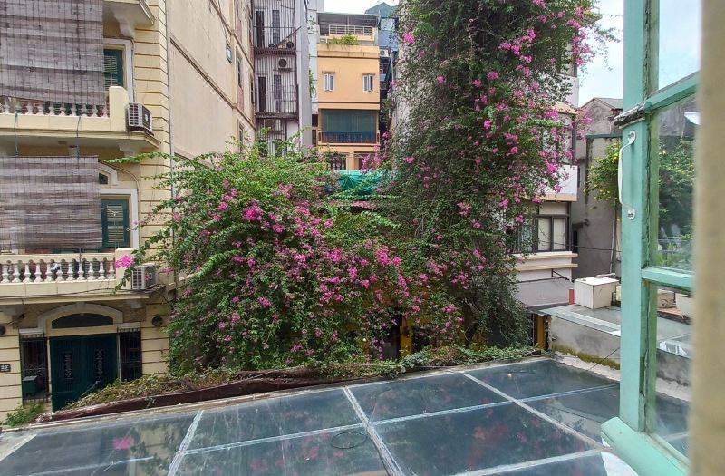 Hanowood Homestay 사진 5