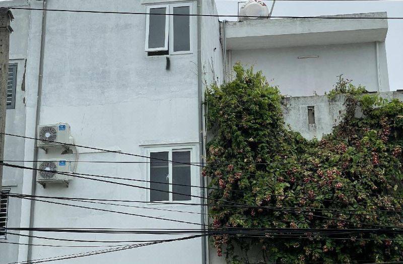 에어포트 홈스테이 사진 4