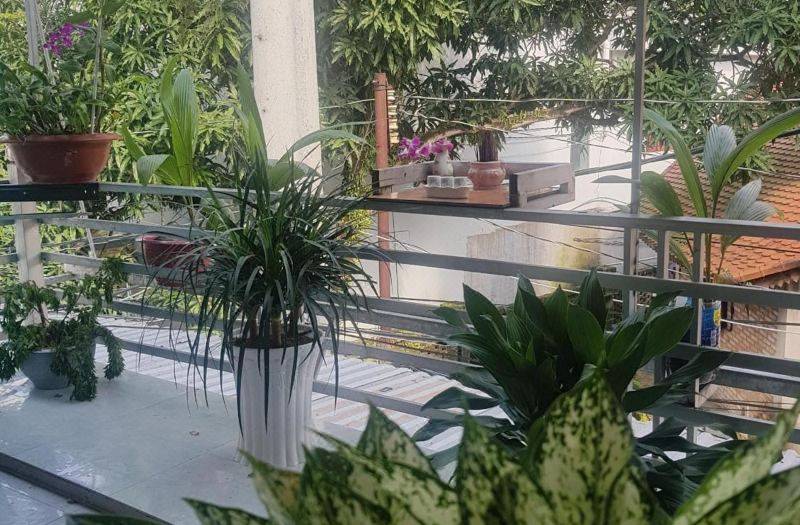 타이찌 게스트하우스 사진 3