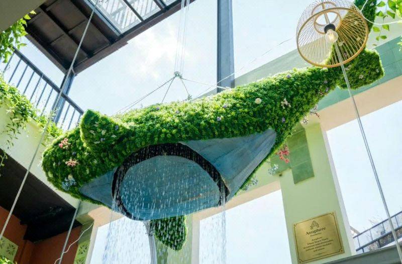 Amsphere Homestay & Restaurant 사진 5
