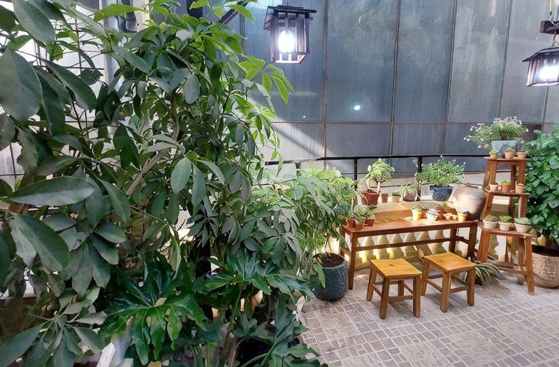 Alley homestay Lieu Giai