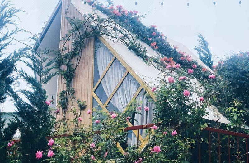 Legume Guest House 사진 4