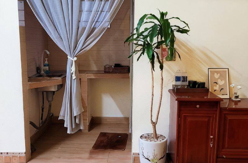 Tiny Garden House Cat Ba 사진 5