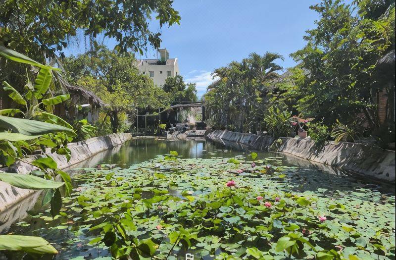 The Little Garden Mui Ne Homestay 사진 4