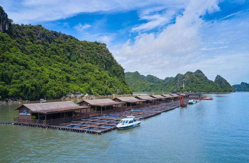 Hai Phong Floating House 사진 4