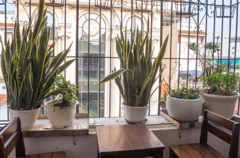 The Windie Home - Bright Corner Room - Street View - Hoan Kiem Lake 사진 5