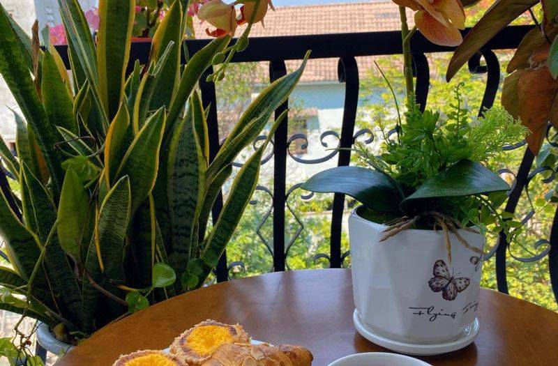Dawn Villa Homestay Hoi An 사진 4