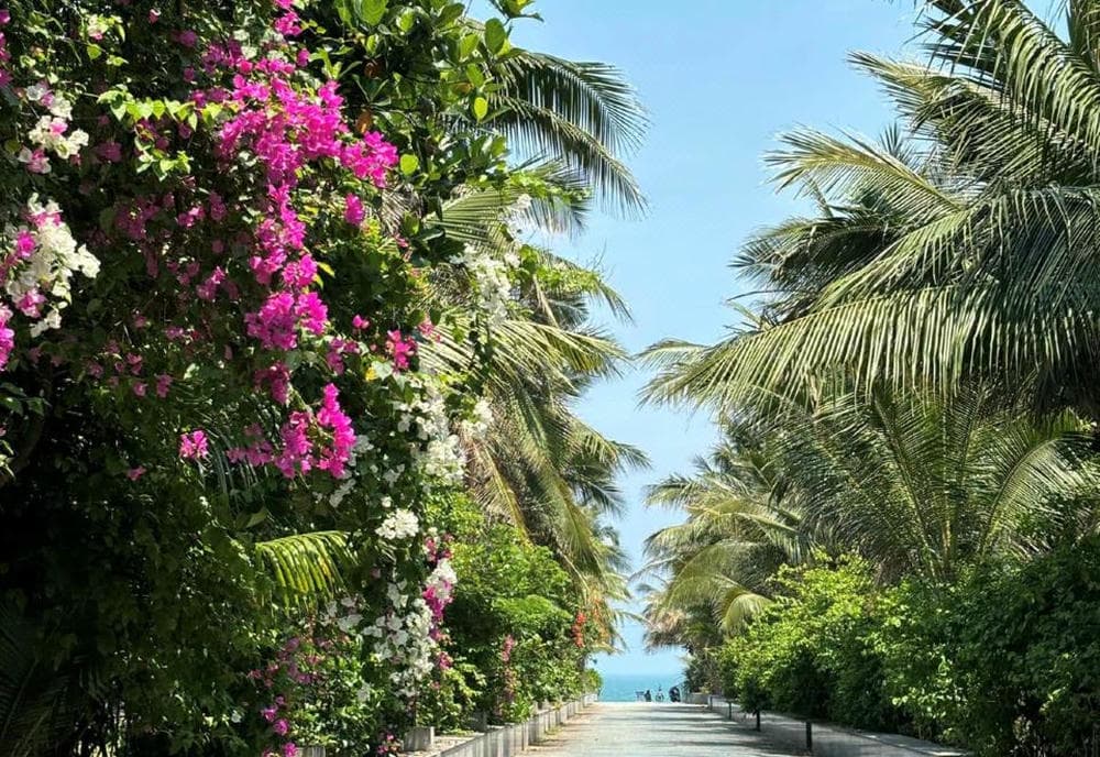 Sunshine Beautiful Danang - Near The Beach