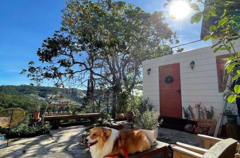 LengKeng Dalat Homestay 사진 4