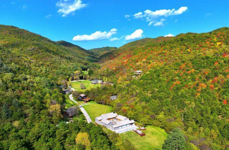DATANG Luyeyuan International Forest Resort 사진 5