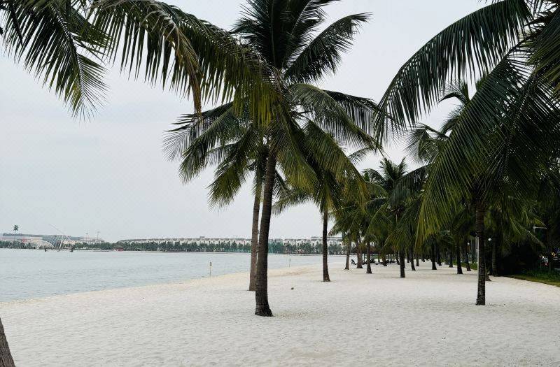 Homestay Nha Thu Thu 사진 4