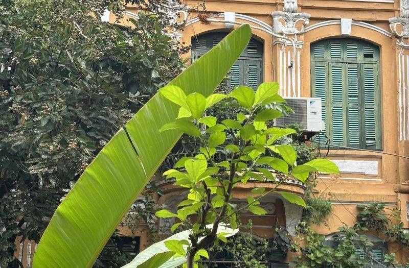 Hanoi Silver Hostel - Double Bed - Chill n Comfy 사진 4