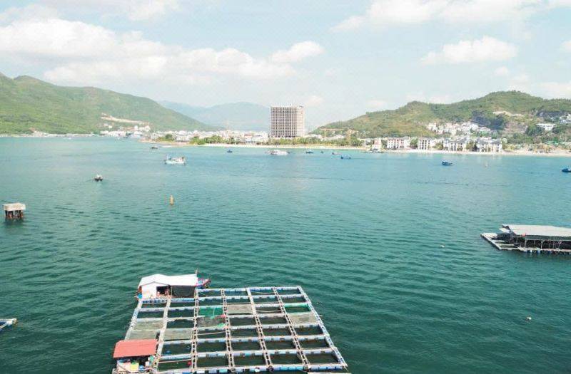 THANH TAM HOTEL 사진 5