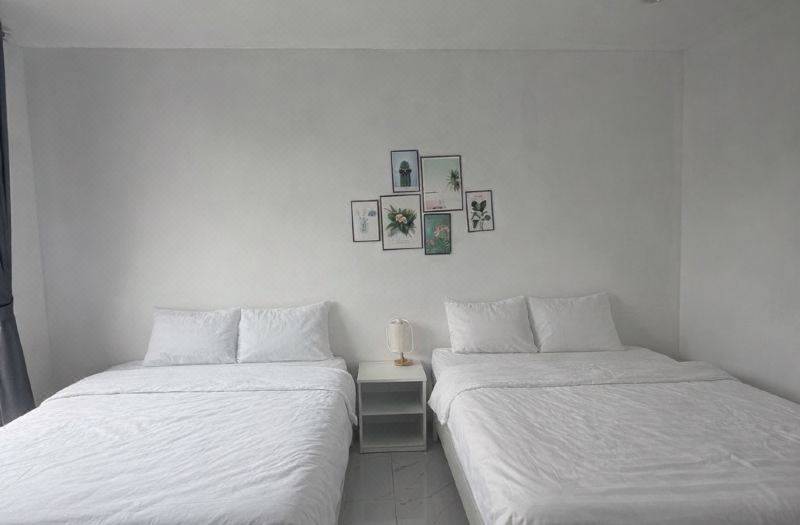 Mongol Homestay 사진 4